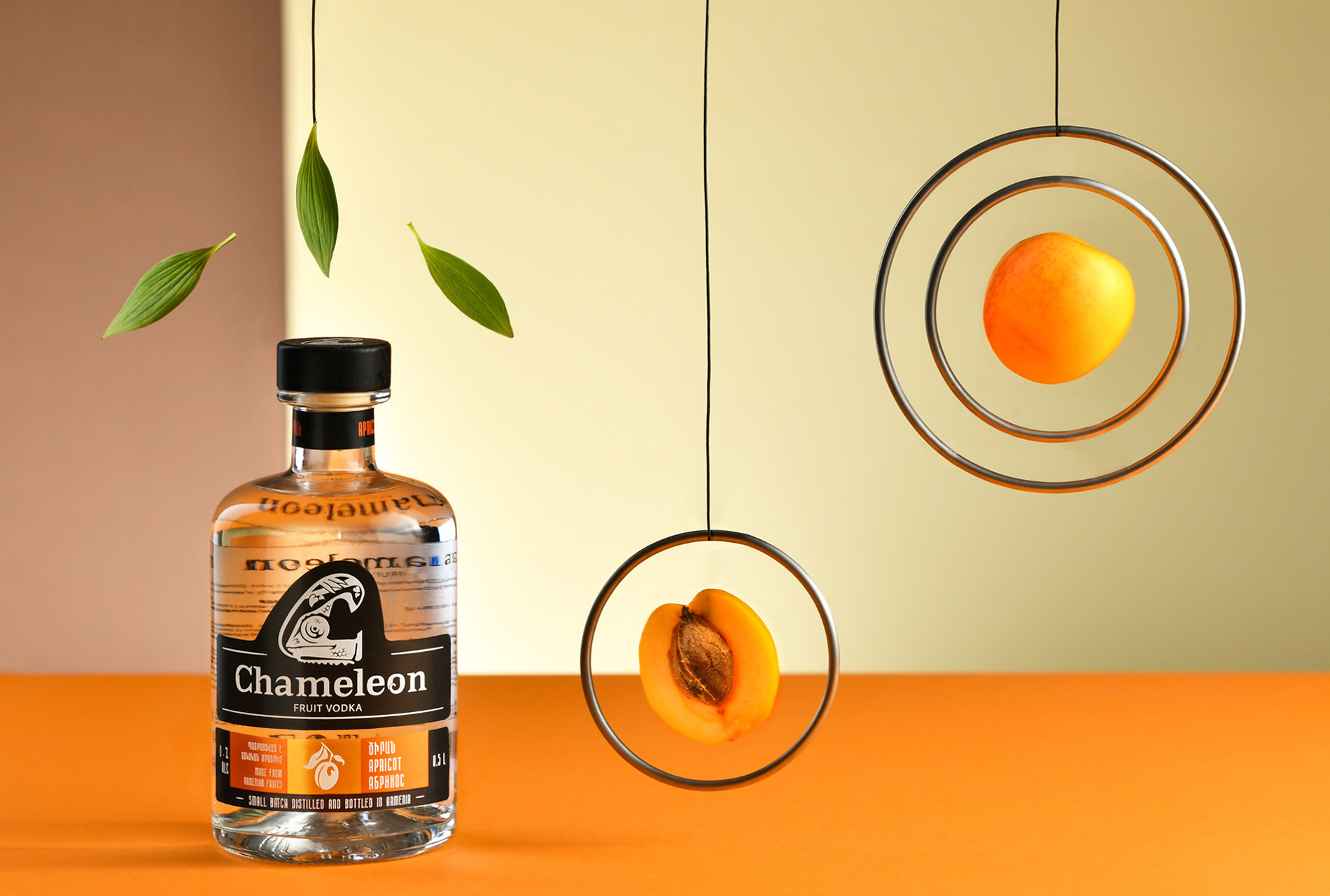 CHAMELEON FRUIT VODKA BRANDING