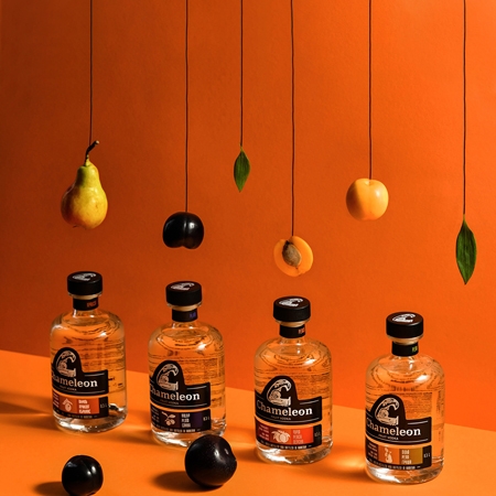 CHAMELEON FRUIT VODKA BRANDING